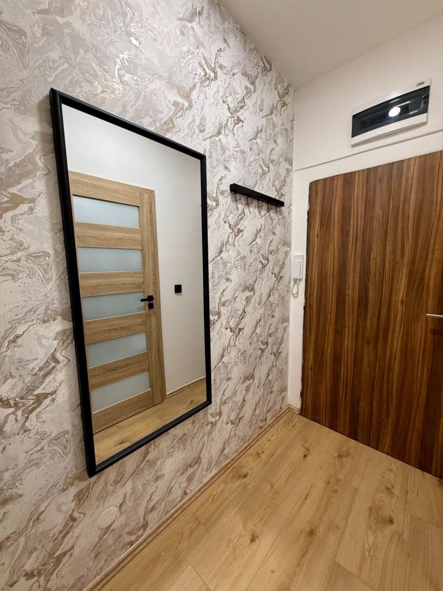 Pronájem bytu 1+kk 31 m², Petra Rezka, Praha, Praha Pronájem bytu 1+kk 31 m², Petra Rezka, Praha, Praha