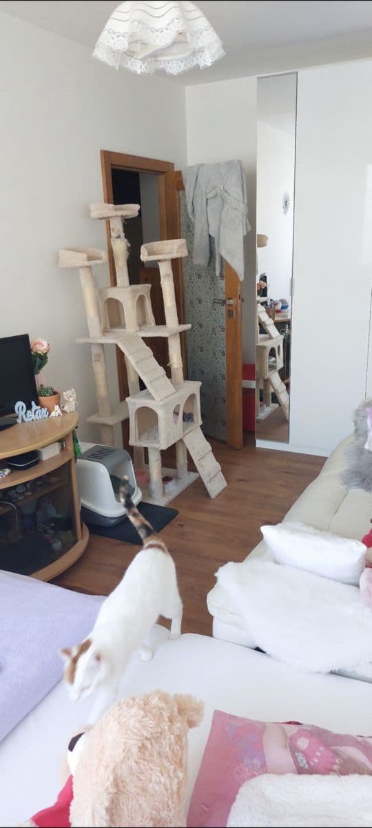 Pronájem bytu 3+kk 78 m², Přecechtělova, Praha, Praha Pronájem bytu 3+kk 78 m², Přecechtělova, Praha, Praha