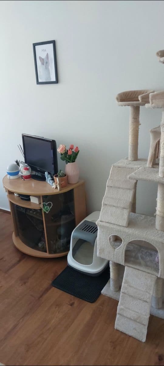 Pronájem bytu 3+kk 78 m², Přecechtělova, Praha, Praha Pronájem bytu 3+kk 78 m², Přecechtělova, Praha, Praha