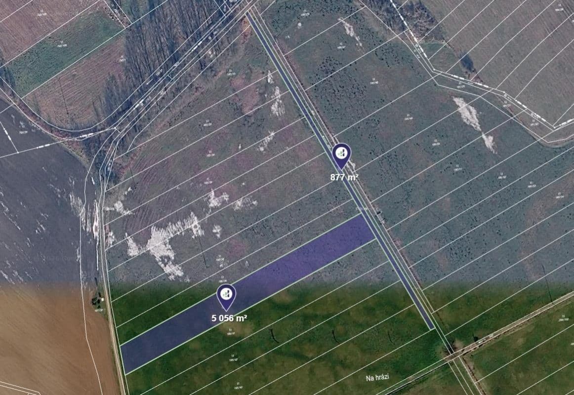 Prodej pozemku 5.119 m², Plchovice, Pardubický kraj Prodej pozemku 5.119 m², Plchovice, Pardubický kraj