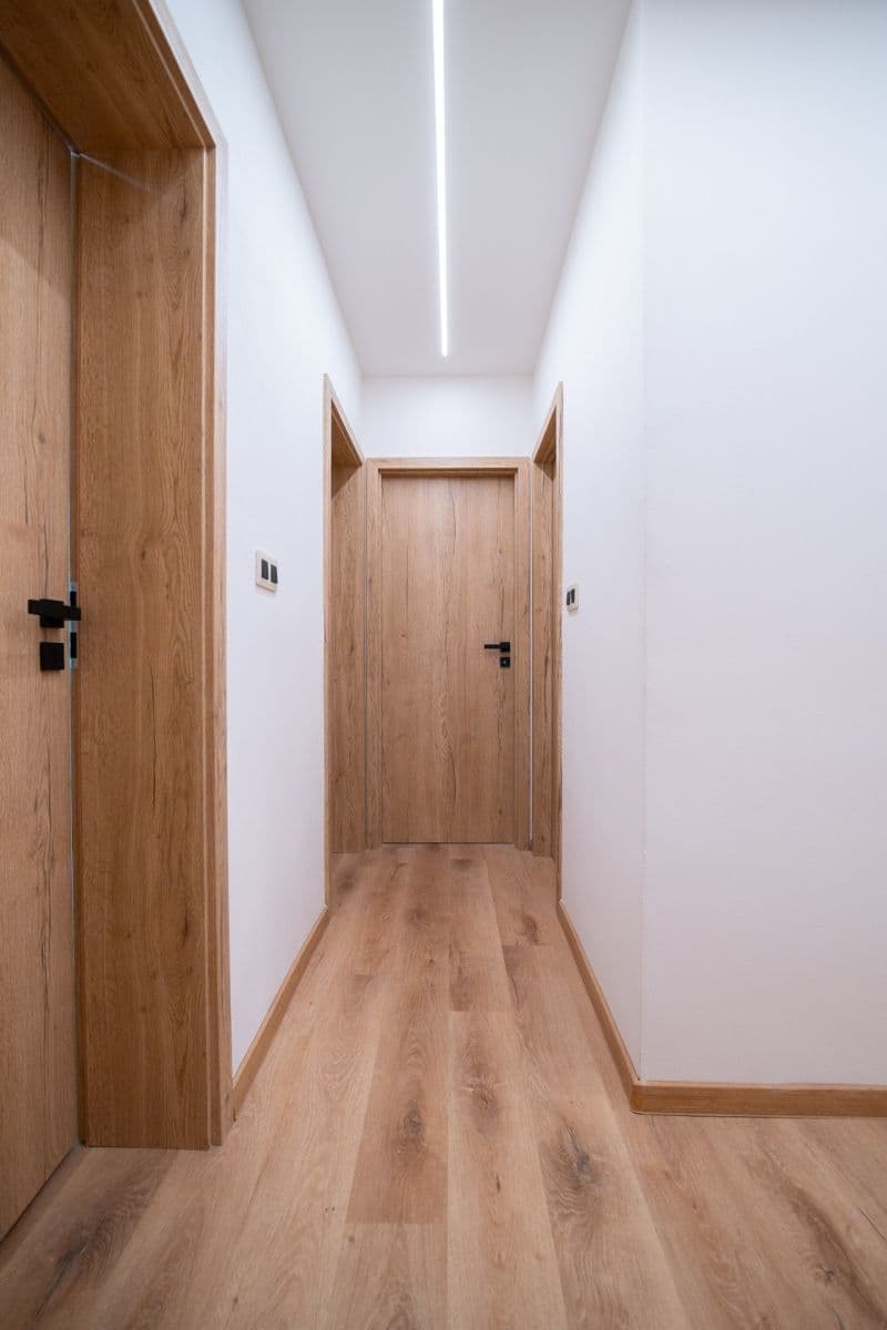 Prodej bytu 3+kk 60 m², Partyzánská, Plzeň, Plzeňský kraj Prodej bytu 3+kk 60 m², Partyzánská, Plzeň, Plzeňský kraj