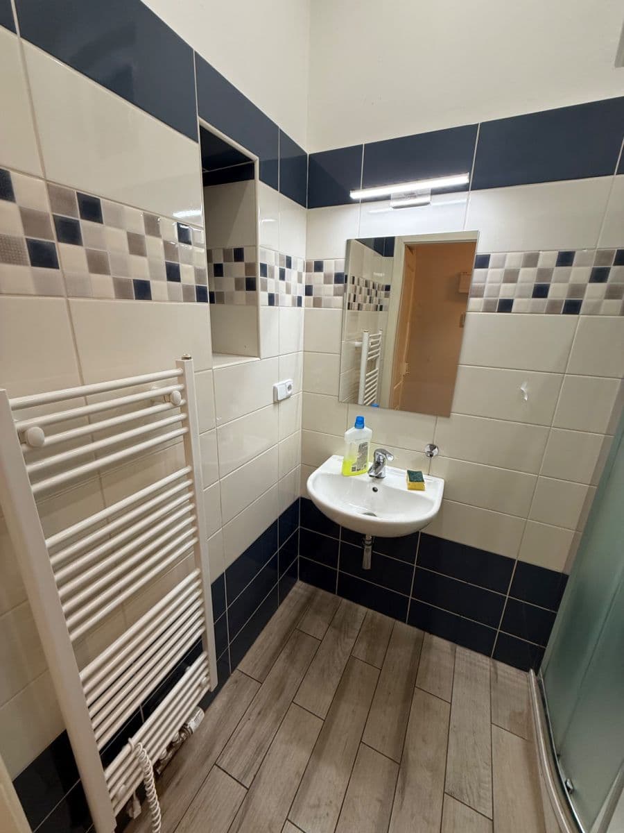 Pronájem bytu 1+1 50 m², Čechova, Praha, Praha Pronájem bytu 1+1 50 m², Čechova, Praha, Praha