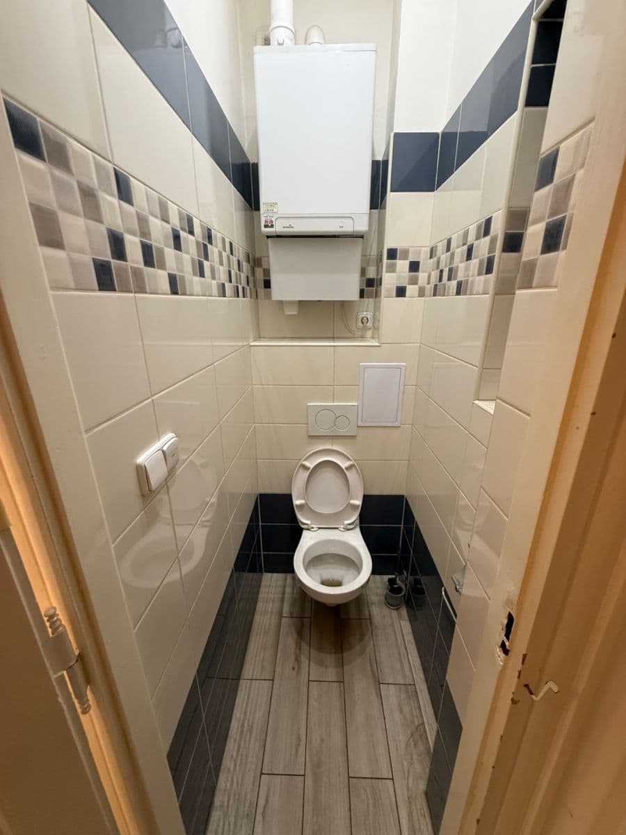 Pronájem bytu 1+1 50 m², Čechova, Praha, Praha Pronájem bytu 1+1 50 m², Čechova, Praha, Praha