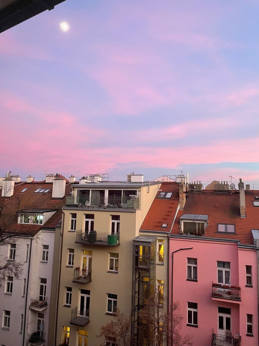Pronájem bytu 1+kk 29 m², Šmilovského, Praha, Praha Pronájem bytu 1+kk 29 m², Šmilovského, Praha, Praha