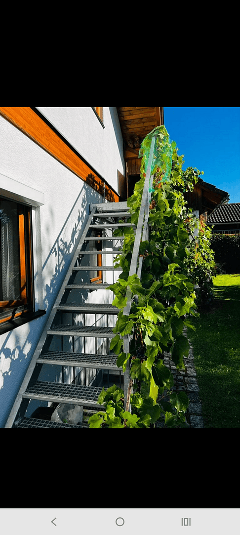 Prodej domu 130 m², pozemek 898 m², Rohrbach-Berg, Horní Rakousko Prodej domu 130 m², pozemek 898 m², Rohrbach-Berg, Horní Rakousko