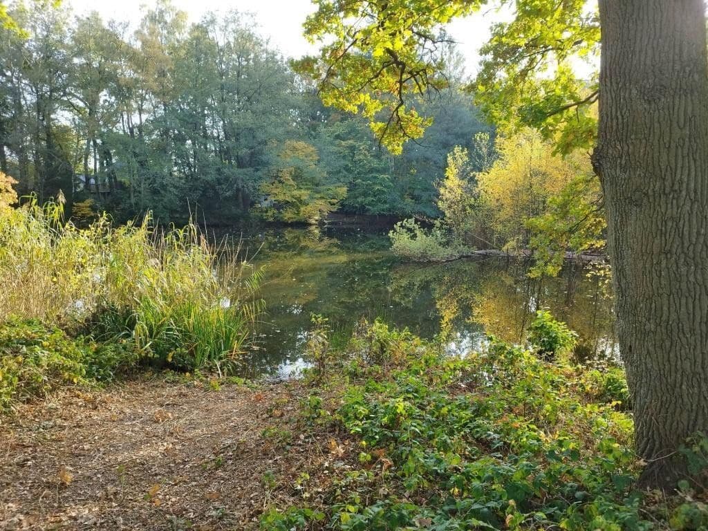 Prodej domu 114 m², pozemek 820 m², Waidmannsring, 5, Quickborn, Šlesvicko-Holštýnsko Prodej domu 114 m², pozemek 820 m², Waidmannsring, 5, Quickborn, Šlesvicko-Holštýnsko