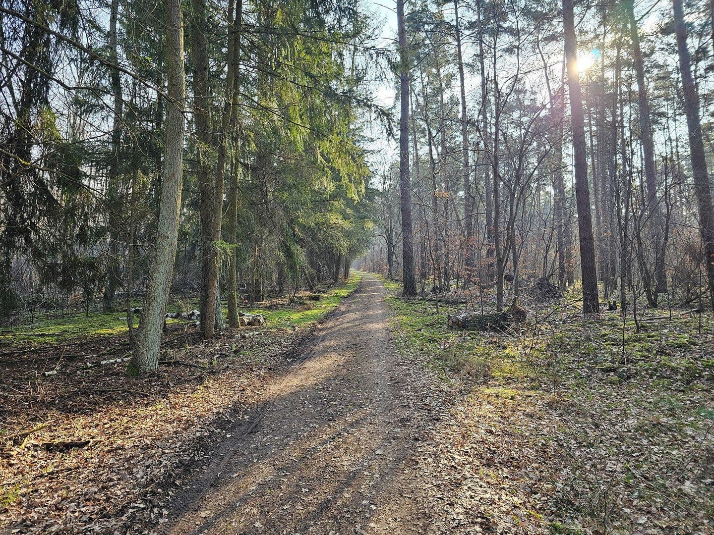 Prodej bytu 3+1 80 m², Steinebergstraße, Ludwigsfelde, Braniborsko Prodej bytu 3+1 80 m², Steinebergstraße, Ludwigsfelde, Braniborsko