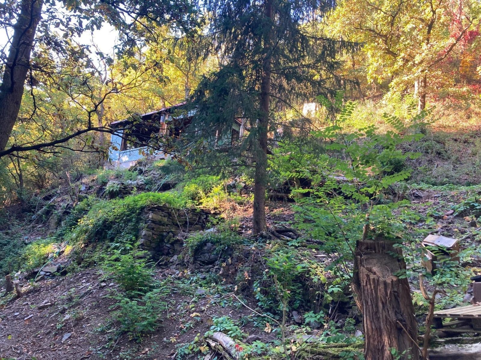 Prodej chaty, chalupy 32 m², pozemek 1.313 m², Draháňské údolí, Zdiby, Středočeský kraj Prodej chaty, chalupy 32 m², pozemek 1.313 m², Draháňské údolí, Zdiby, Středočeský kraj