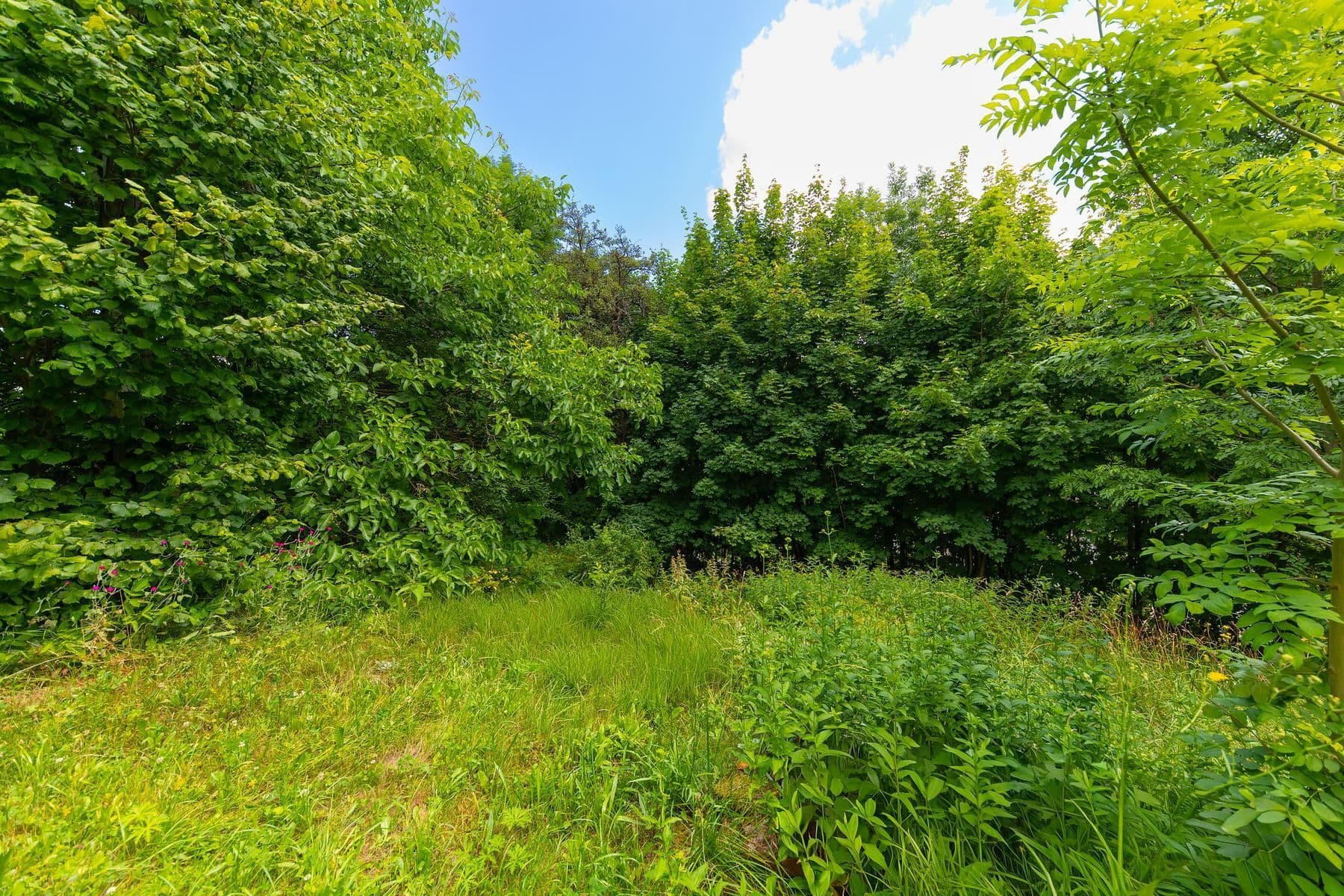 Prodej pozemku 743 m², Písařov, Olomoucký kraj Prodej pozemku 743 m², Písařov, Olomoucký kraj