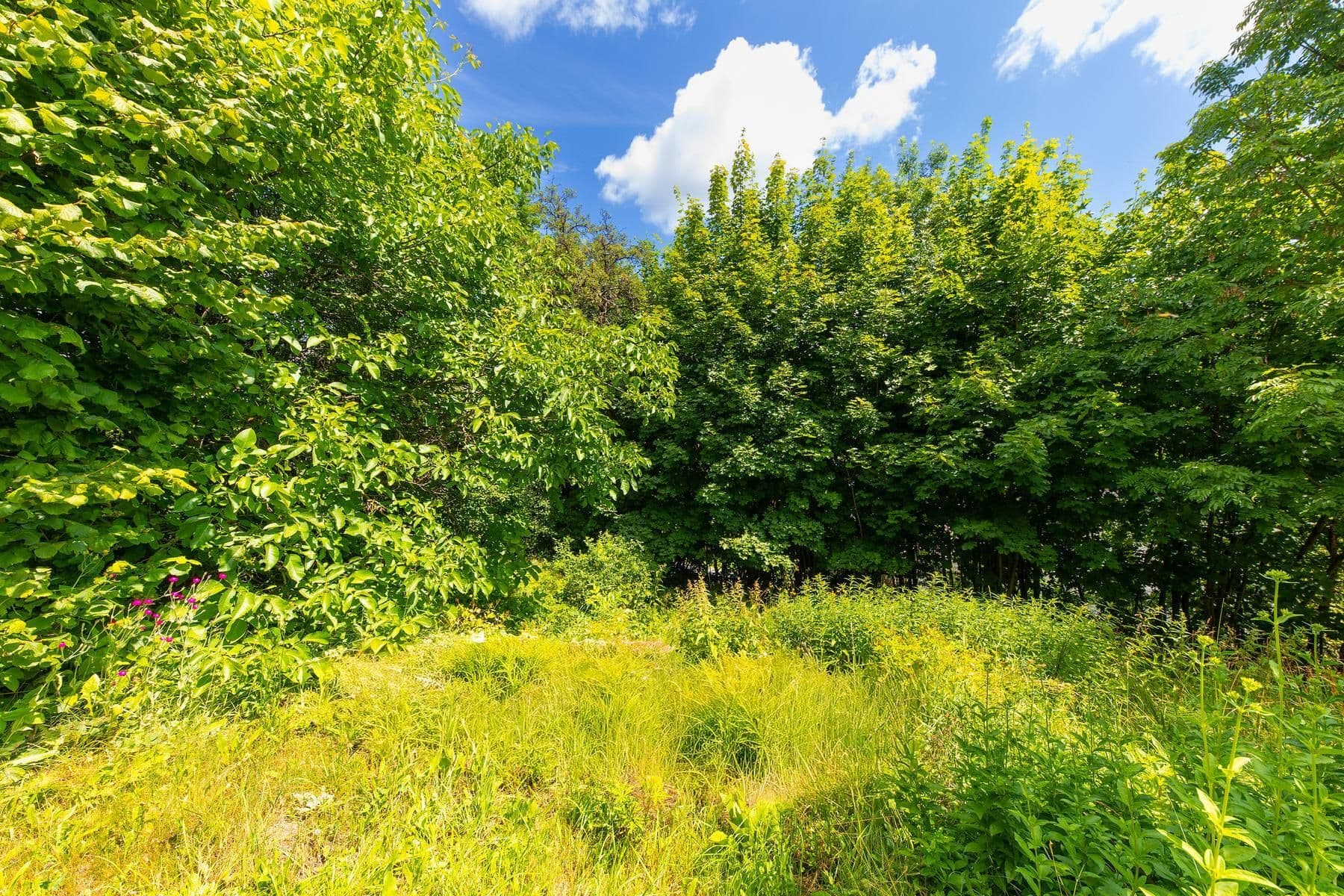 Prodej pozemku 743 m², Písařov, Olomoucký kraj Prodej pozemku 743 m², Písařov, Olomoucký kraj