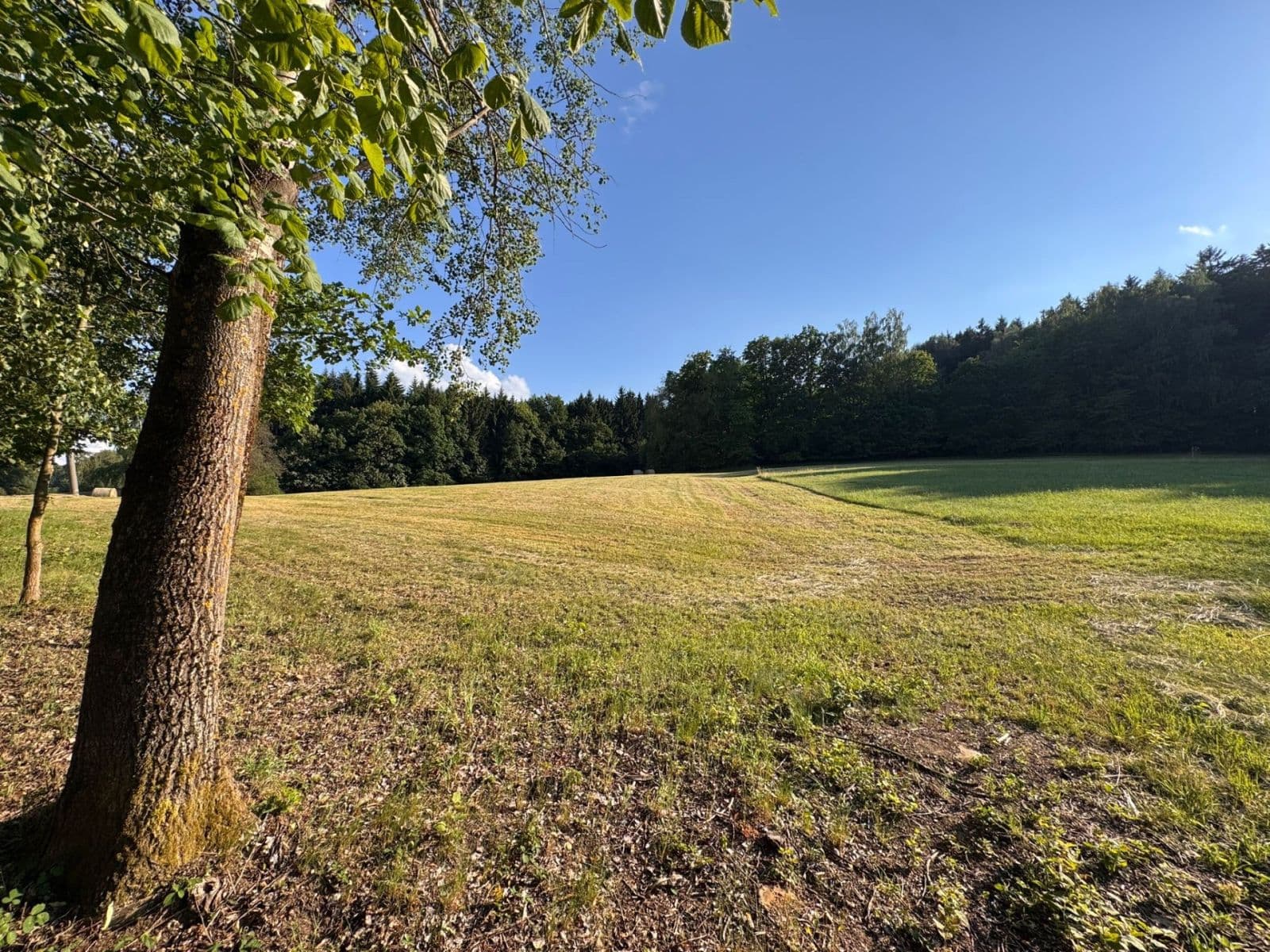Prodej pozemku 7.125 m², Pec, Plzeňský kraj Prodej pozemku 7.125 m², Pec, Plzeňský kraj