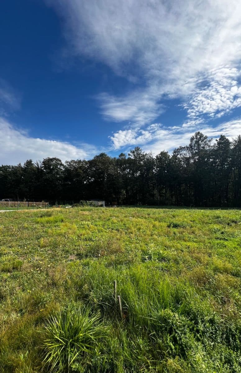Prodej pozemku 1.181 m², Hradečno, Středočeský kraj Prodej pozemku 1.181 m², Hradečno, Středočeský kraj