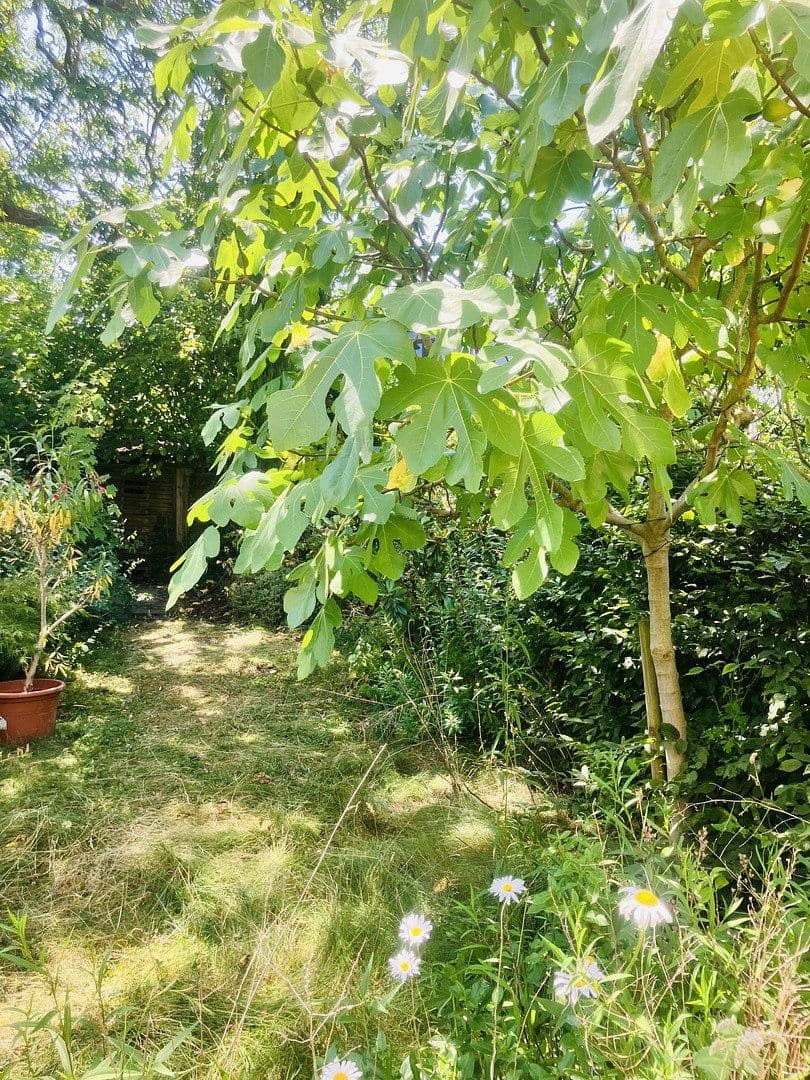 Prodej domu 164 m², pozemek 146 m², Utehof 19, Köln, Severní Porýní-Vestfálsko Prodej domu 164 m², pozemek 146 m², Utehof 19, Köln, Severní Porýní-Vestfálsko