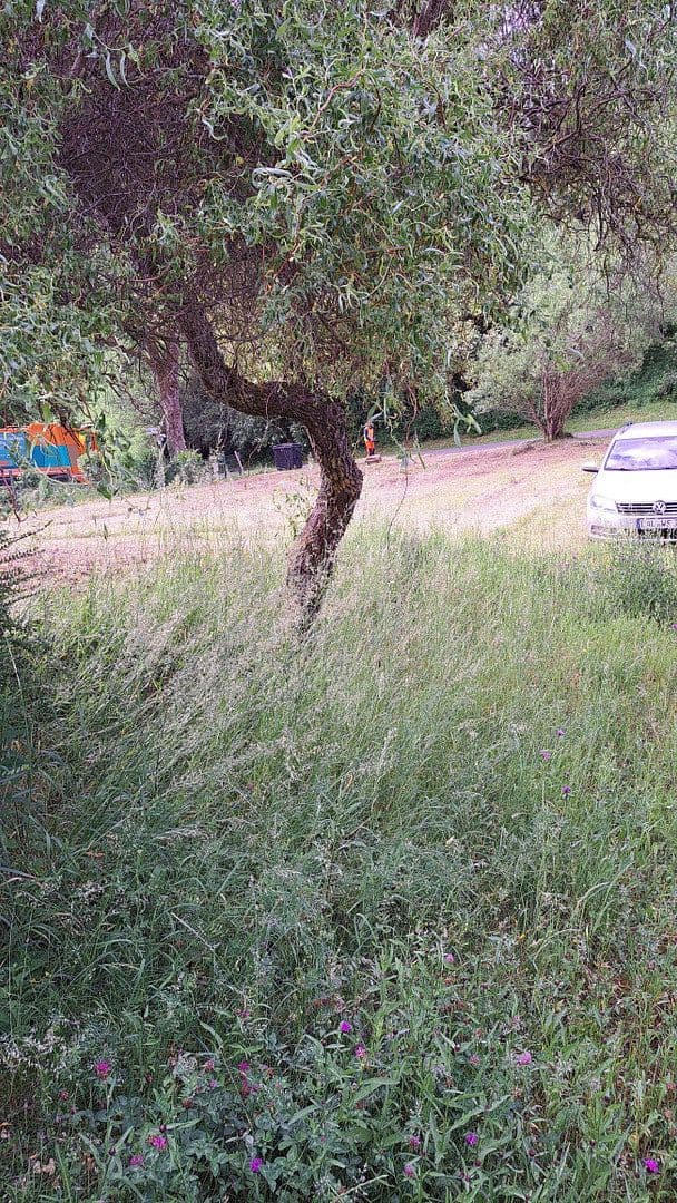 Prodej domu 120 m², pozemek 750 m², Siebenbachstrasse 19, Strotzbüsch, Porýní-Falc Prodej domu 120 m², pozemek 750 m², Siebenbachstrasse 19, Strotzbüsch, Porýní-Falc