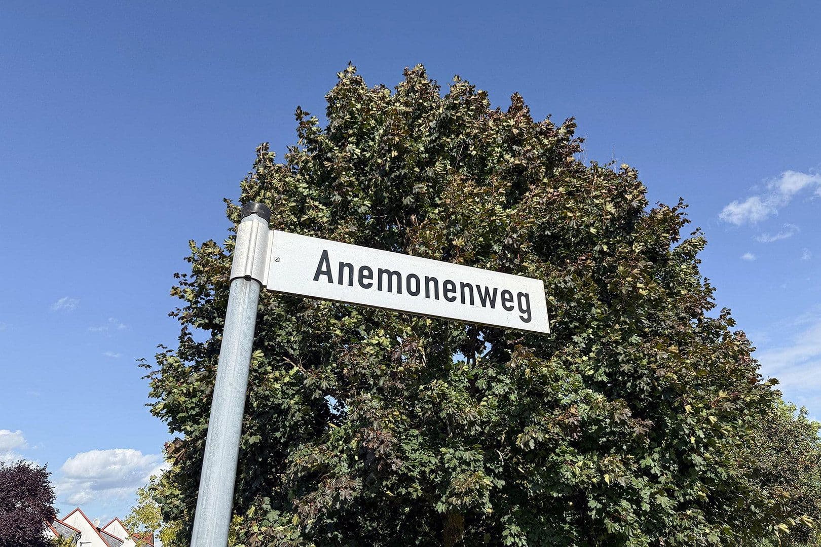 Prodej domu 122 m², pozemek 202 m², Anemonenweg 15, Möser, Sasko-Anhaltsko Prodej domu 122 m², pozemek 202 m², Anemonenweg 15, Möser, Sasko-Anhaltsko
