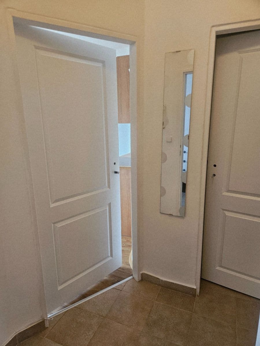 Pronájem bytu 1+kk 27 m², V Olšinách, Praha, Praha Pronájem bytu 1+kk 27 m², V Olšinách, Praha, Praha