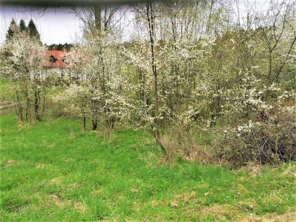Prodej pozemku 340 m², Veselá, Liberecký kraj Prodej pozemku 340 m², Veselá, Liberecký kraj
