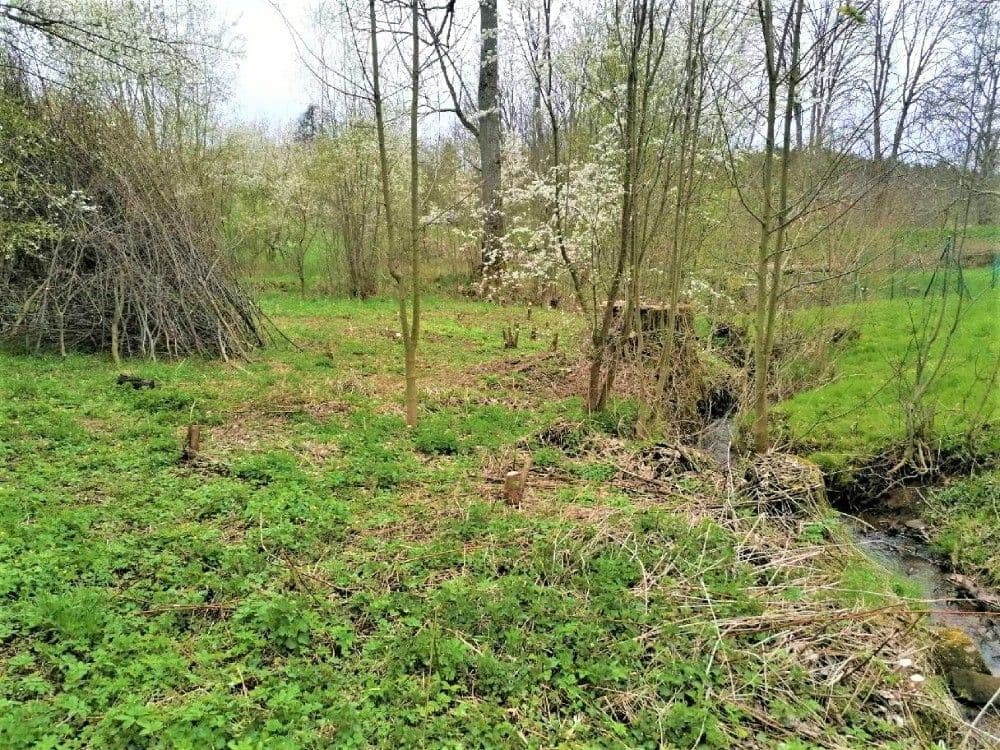 Prodej pozemku 340 m², Veselá, Liberecký kraj Prodej pozemku 340 m², Veselá, Liberecký kraj