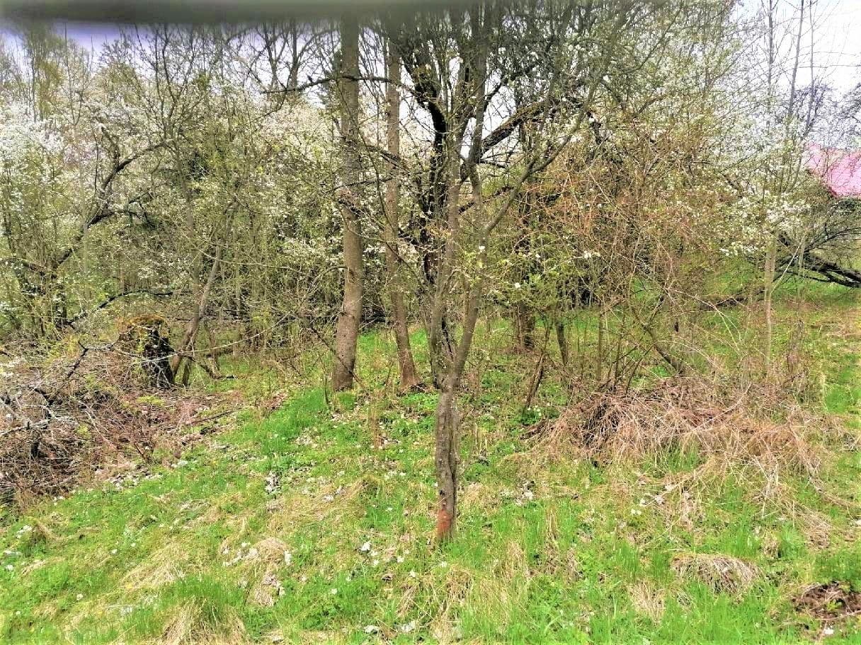Prodej pozemku 340 m², Veselá, Liberecký kraj Prodej pozemku 340 m², Veselá, Liberecký kraj