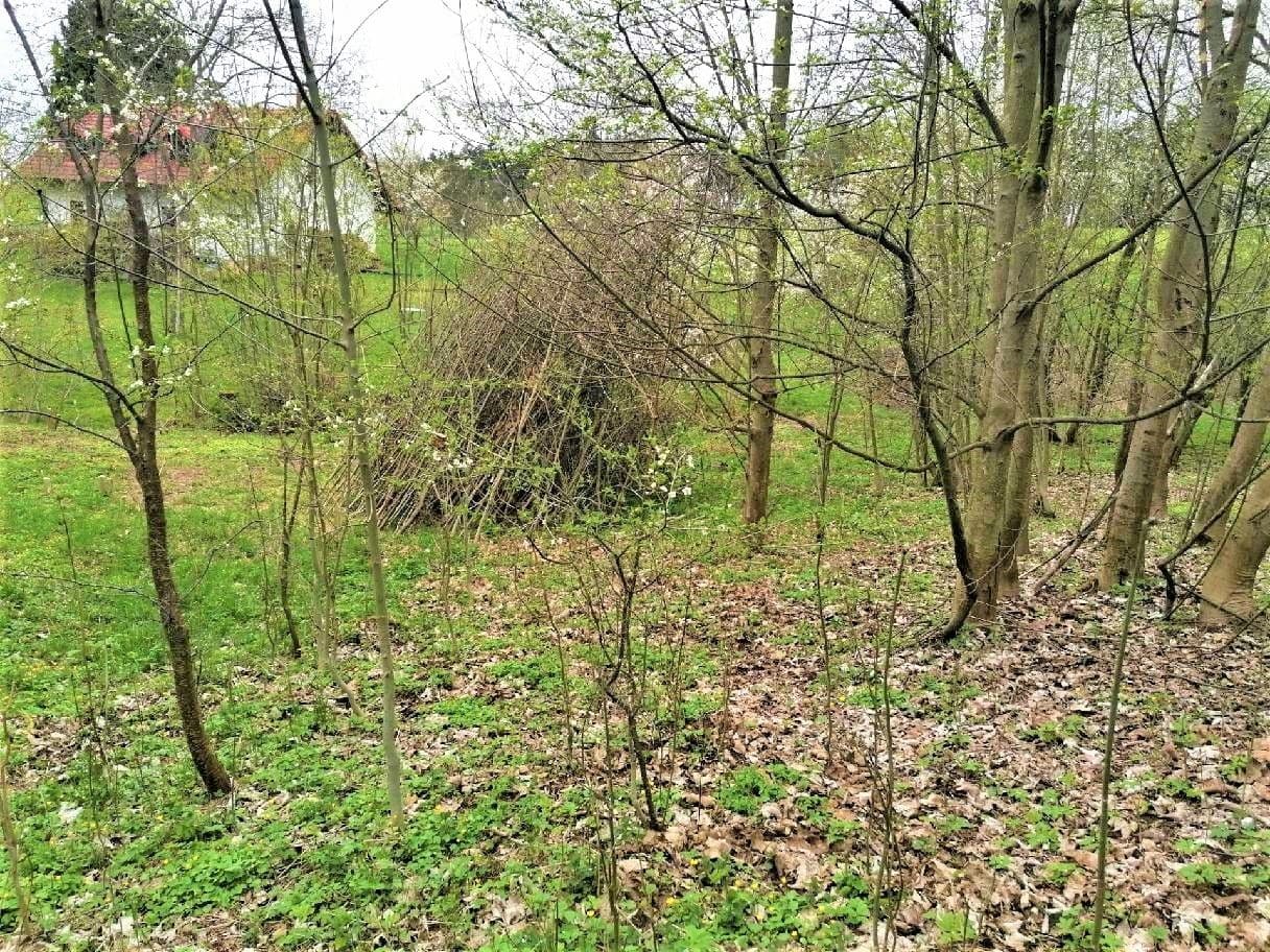 Prodej pozemku 340 m², Veselá, Liberecký kraj Prodej pozemku 340 m², Veselá, Liberecký kraj