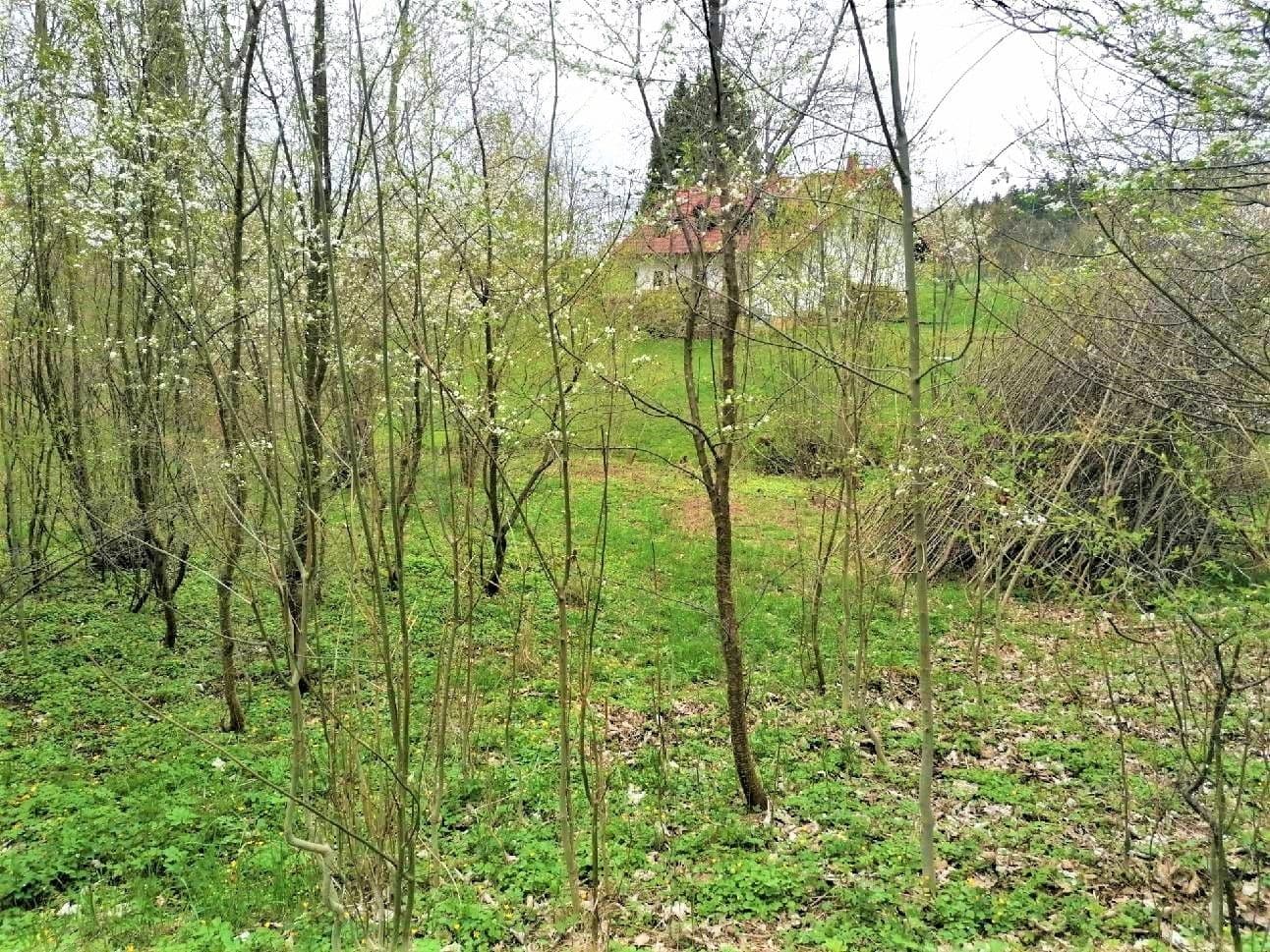 Prodej pozemku 340 m², Veselá, Liberecký kraj Prodej pozemku 340 m², Veselá, Liberecký kraj