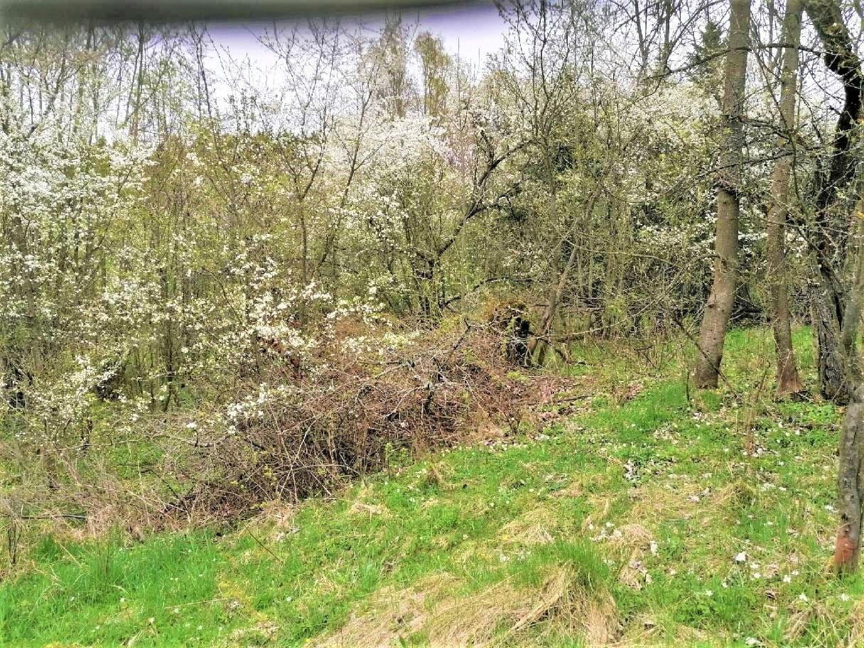 Prodej pozemku 340 m², Veselá, Liberecký kraj Prodej pozemku 340 m², Veselá, Liberecký kraj