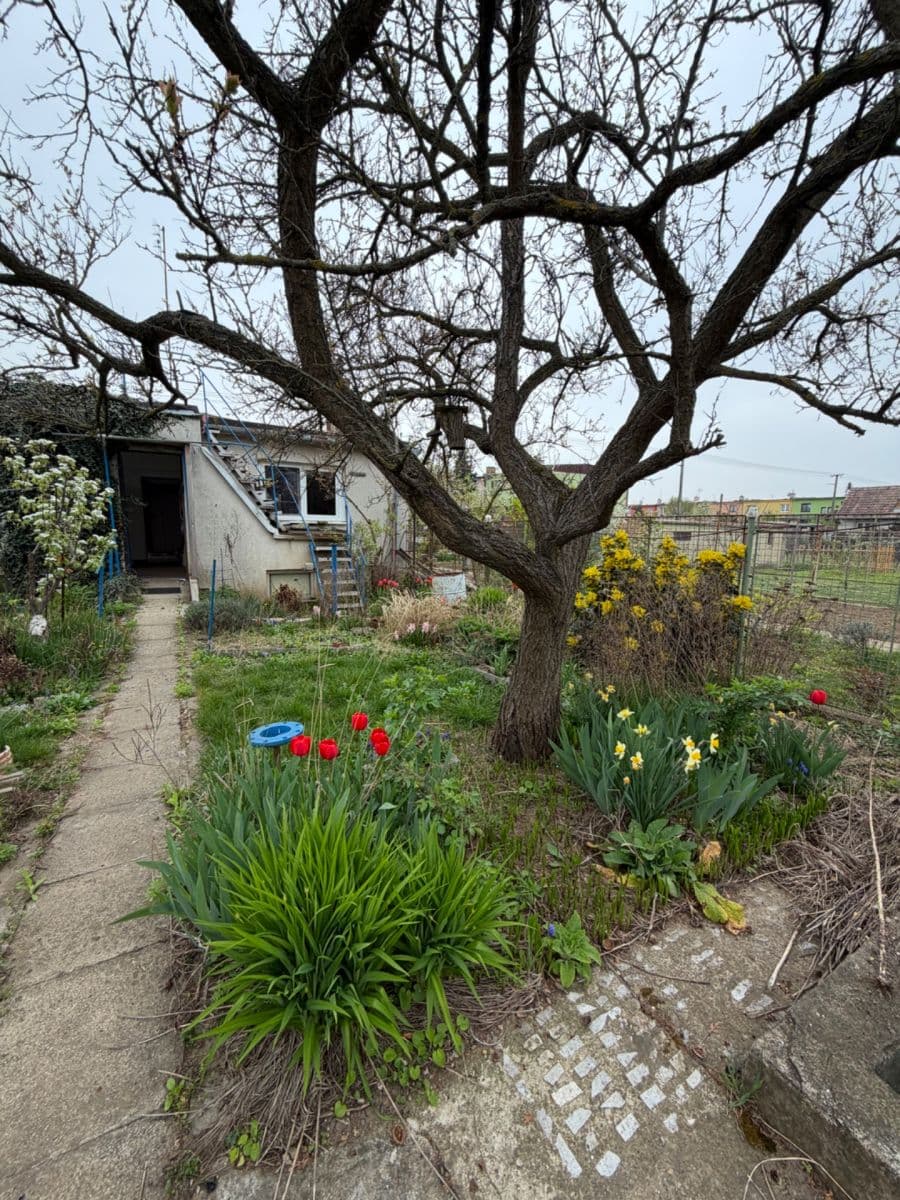 Pronájem domu 78 m², pozemek 450 m², U Hřiště, Žabčice, Jihomoravský kraj Pronájem domu 78 m², pozemek 450 m², U Hřiště, Žabčice, Jihomoravský kraj