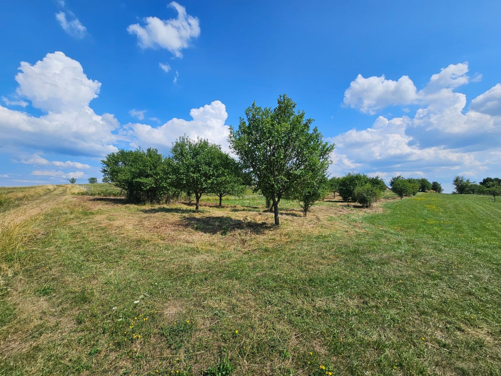 Prodej pozemku 2.492 m², Doubravy, Zlínský kraj Prodej pozemku 2.492 m², Doubravy, Zlínský kraj