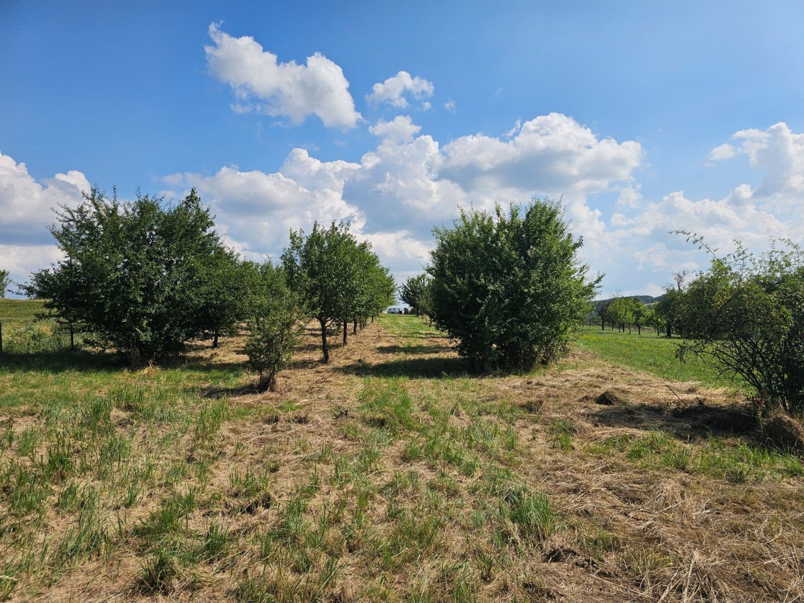 Prodej pozemku 2.492 m², Doubravy, Zlínský kraj Prodej pozemku 2.492 m², Doubravy, Zlínský kraj