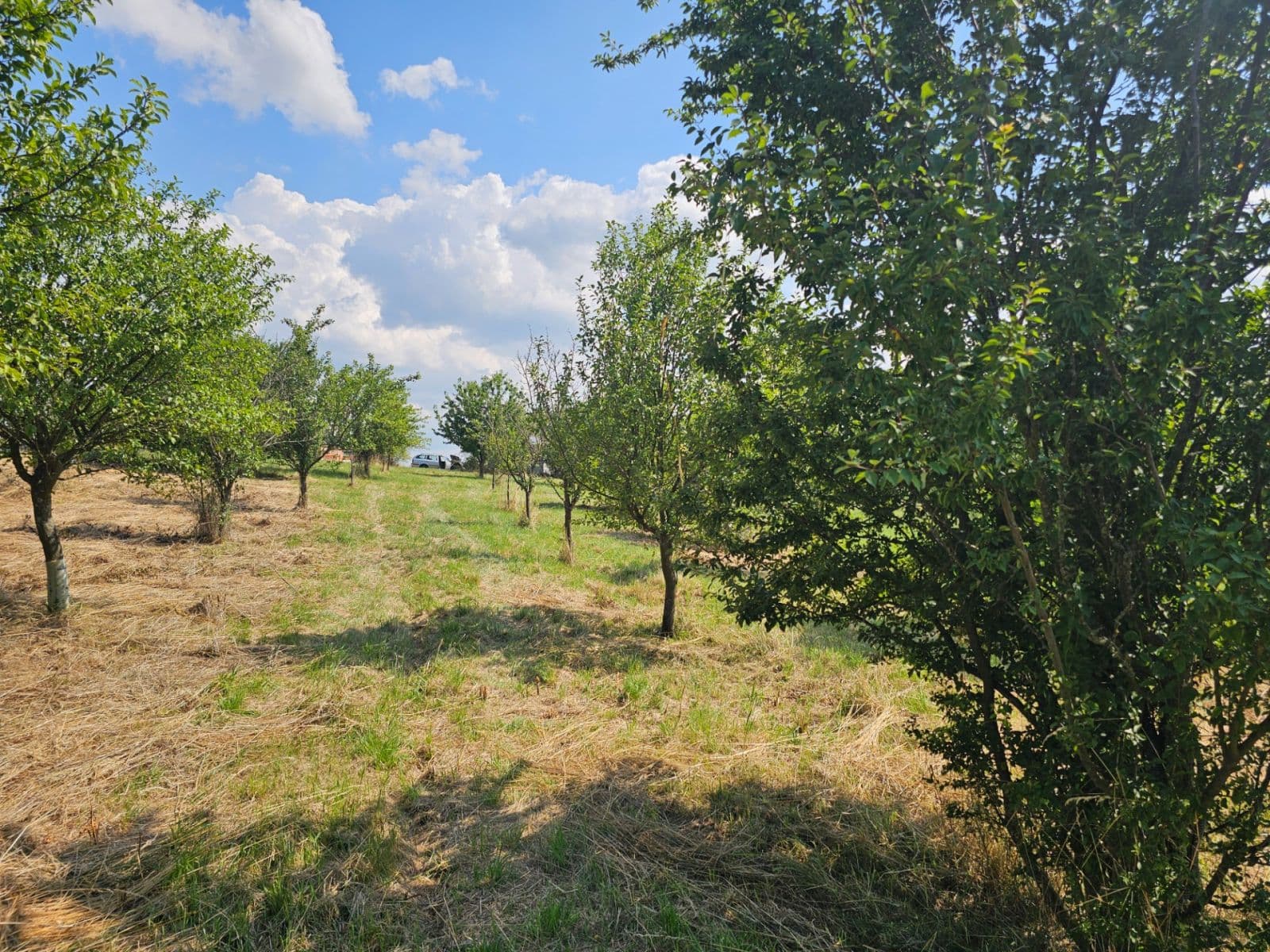 Prodej pozemku 2.492 m², Doubravy, Zlínský kraj Prodej pozemku 2.492 m², Doubravy, Zlínský kraj