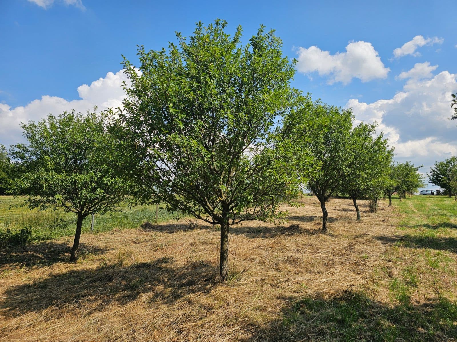 Prodej pozemku 2.492 m², Doubravy, Zlínský kraj Prodej pozemku 2.492 m², Doubravy, Zlínský kraj