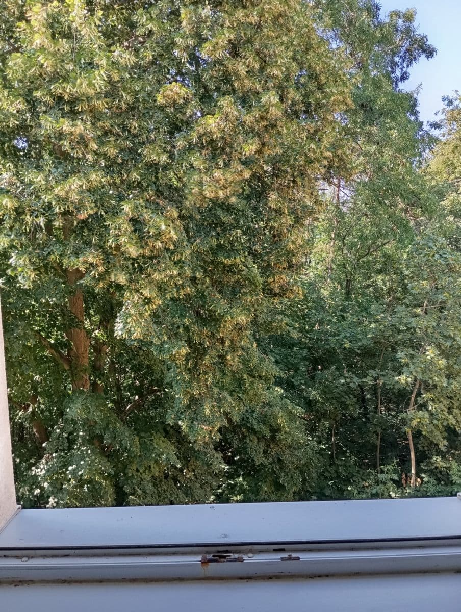 Pronájem bytu 2+1 53 m², Na Okraji, Praha, Praha Pronájem bytu 2+1 53 m², Na Okraji, Praha, Praha