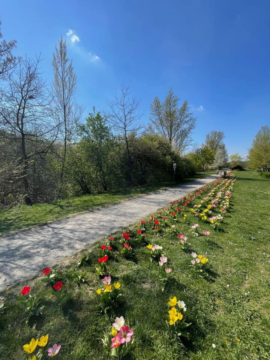 Pronájem bytu 2+kk 44 m², Pospíchalova, Praha, Praha Pronájem bytu 2+kk 44 m², Pospíchalova, Praha, Praha