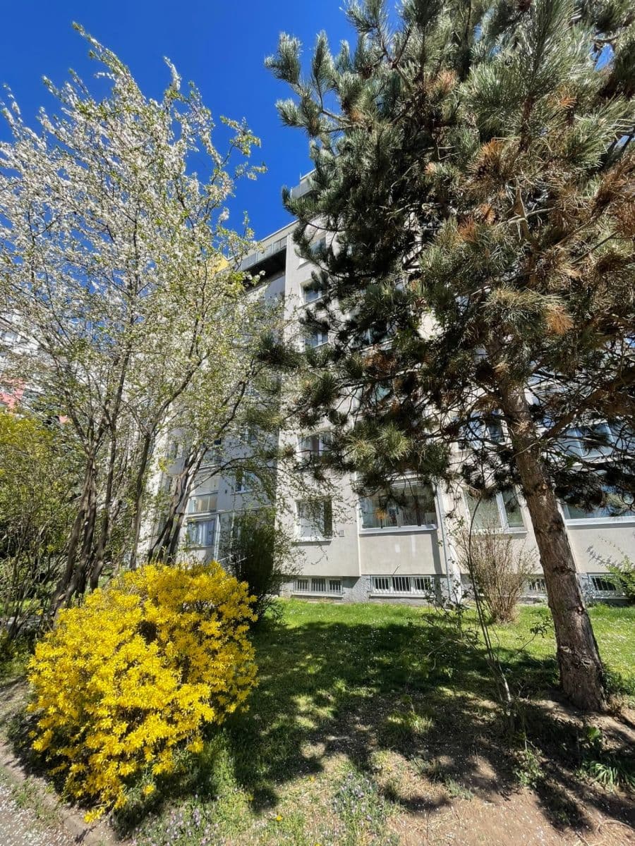 Pronájem bytu 2+kk 44 m², Pospíchalova, Praha, Praha Pronájem bytu 2+kk 44 m², Pospíchalova, Praha, Praha