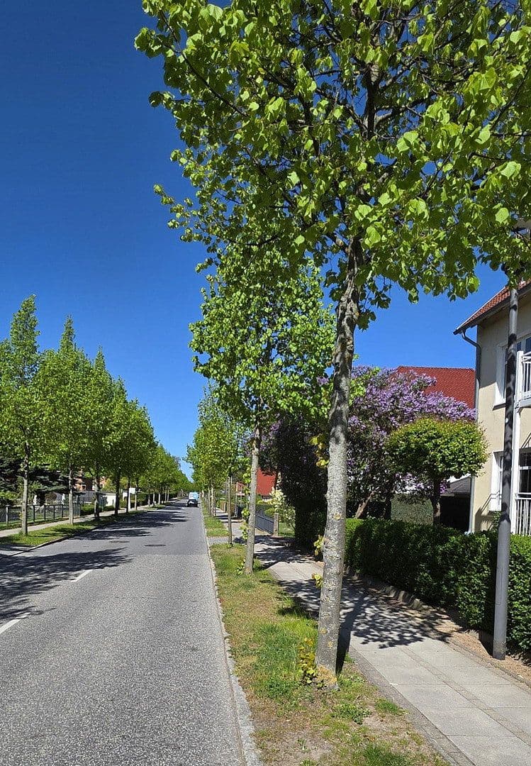 Prodej bytu 2+1 54 m², Neue Reihe 39, Kühlungsborn, Mecklenburg-Vorpommern Prodej bytu 2+1 54 m², Neue Reihe 39, Kühlungsborn, Mecklenburg-Vorpommern