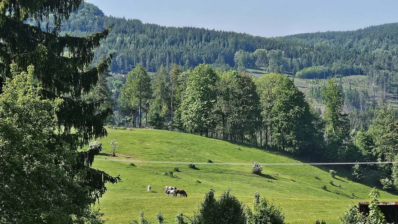 Pronájem chaty, chalupy, Kytlice, Ústecký kraj Pronájem chaty, chalupy, Kytlice, Ústecký kraj