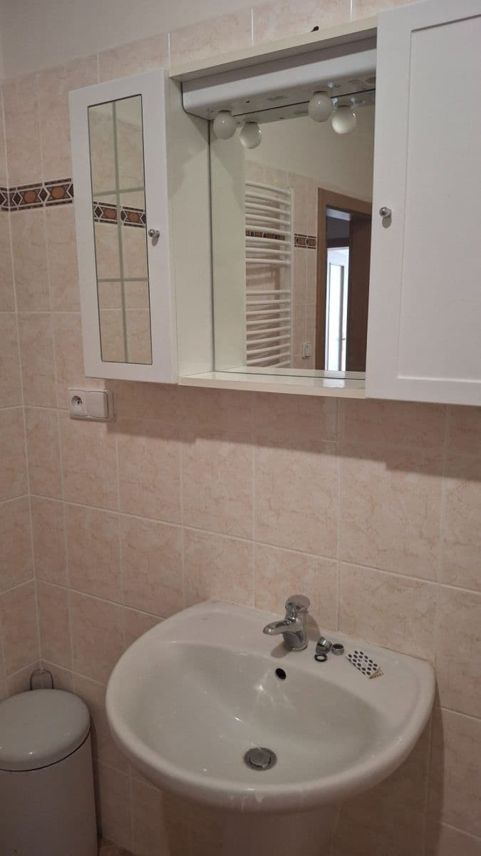 Pronájem bytu 1+kk 50 m², Platanová, Litoměřice, Ústecký kraj Pronájem bytu 1+kk 50 m², Platanová, Litoměřice, Ústecký kraj