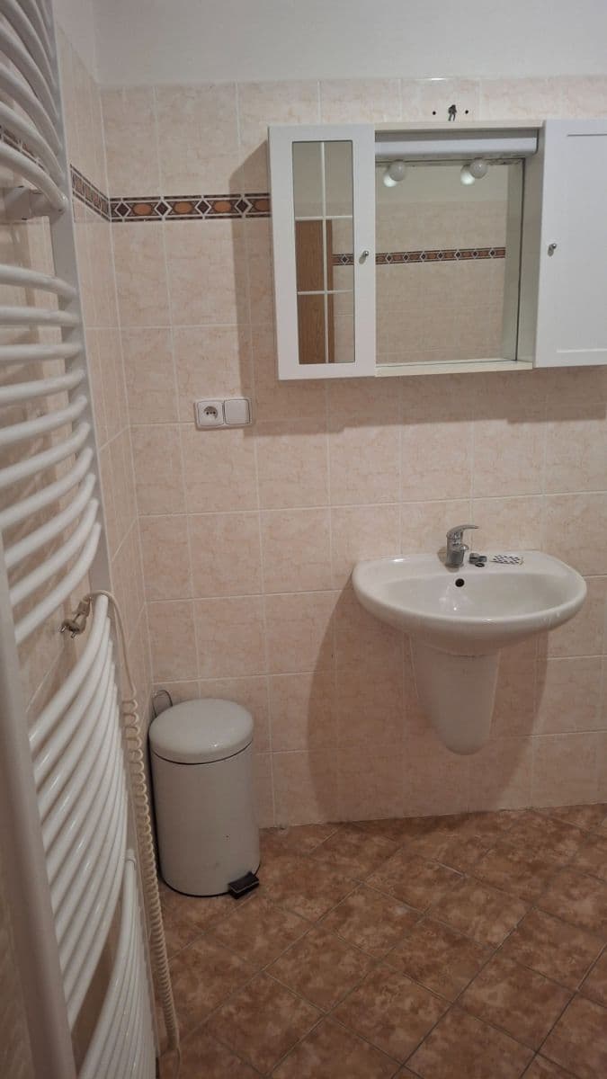 Pronájem bytu 1+kk 50 m², Platanová, Litoměřice, Ústecký kraj Pronájem bytu 1+kk 50 m², Platanová, Litoměřice, Ústecký kraj