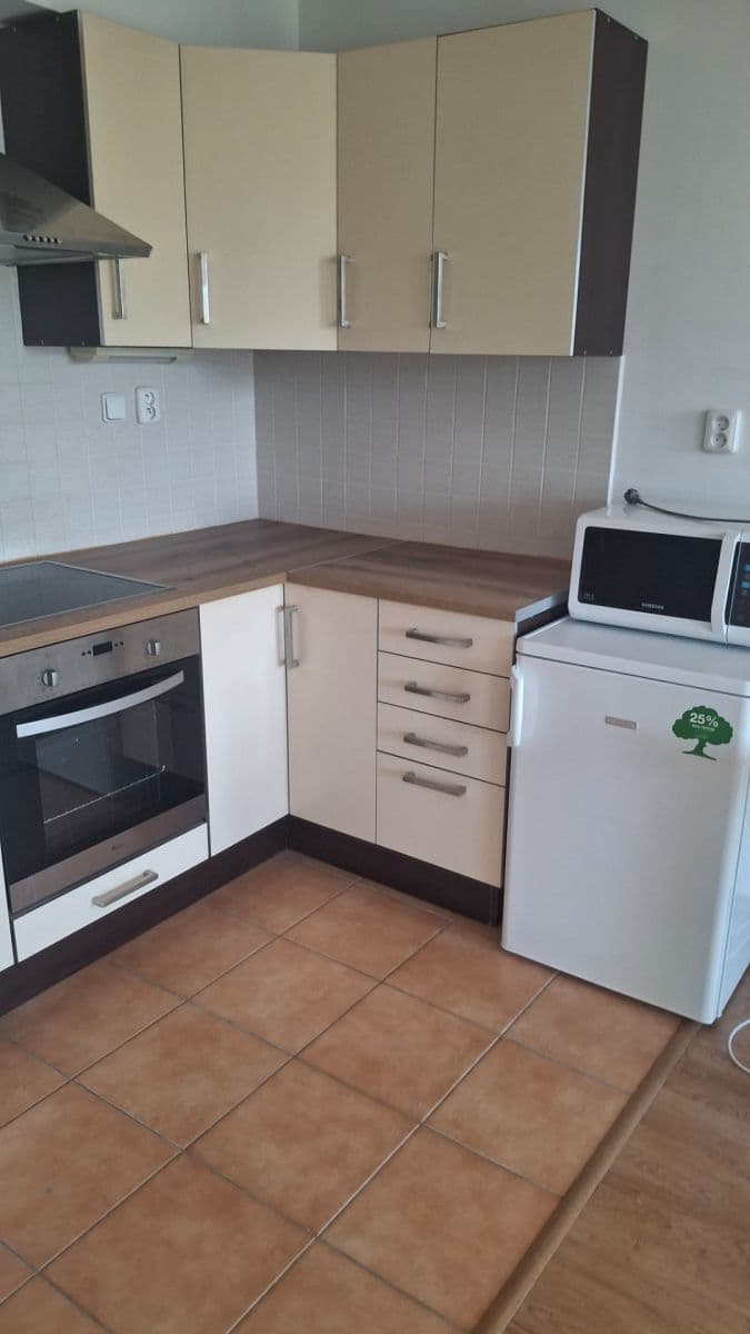 Pronájem bytu 1+kk 50 m², Platanová, Litoměřice, Ústecký kraj Pronájem bytu 1+kk 50 m², Platanová, Litoměřice, Ústecký kraj