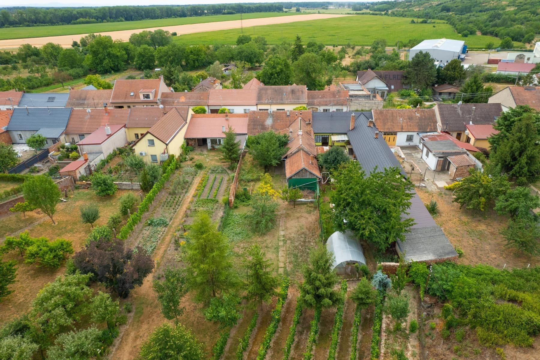 Prodej domu 100 m², pozemek 536 m², Ukrajina, Moravská Nová Ves, Jihomoravský kraj Prodej domu 100 m², pozemek 536 m², Ukrajina, Moravská Nová Ves, Jihomoravský kraj