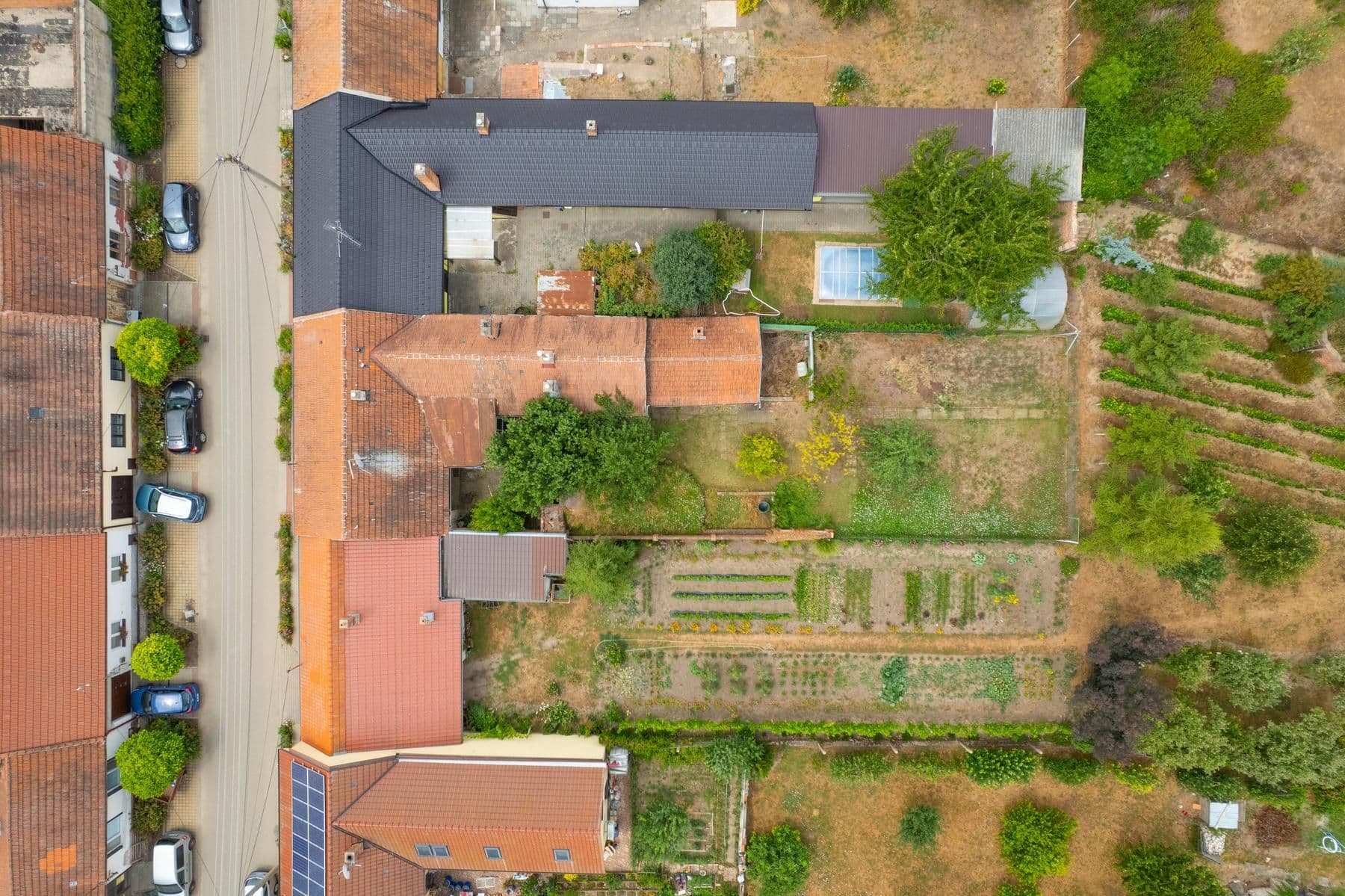 Prodej domu 100 m², pozemek 536 m², Ukrajina, Moravská Nová Ves, Jihomoravský kraj Prodej domu 100 m², pozemek 536 m², Ukrajina, Moravská Nová Ves, Jihomoravský kraj