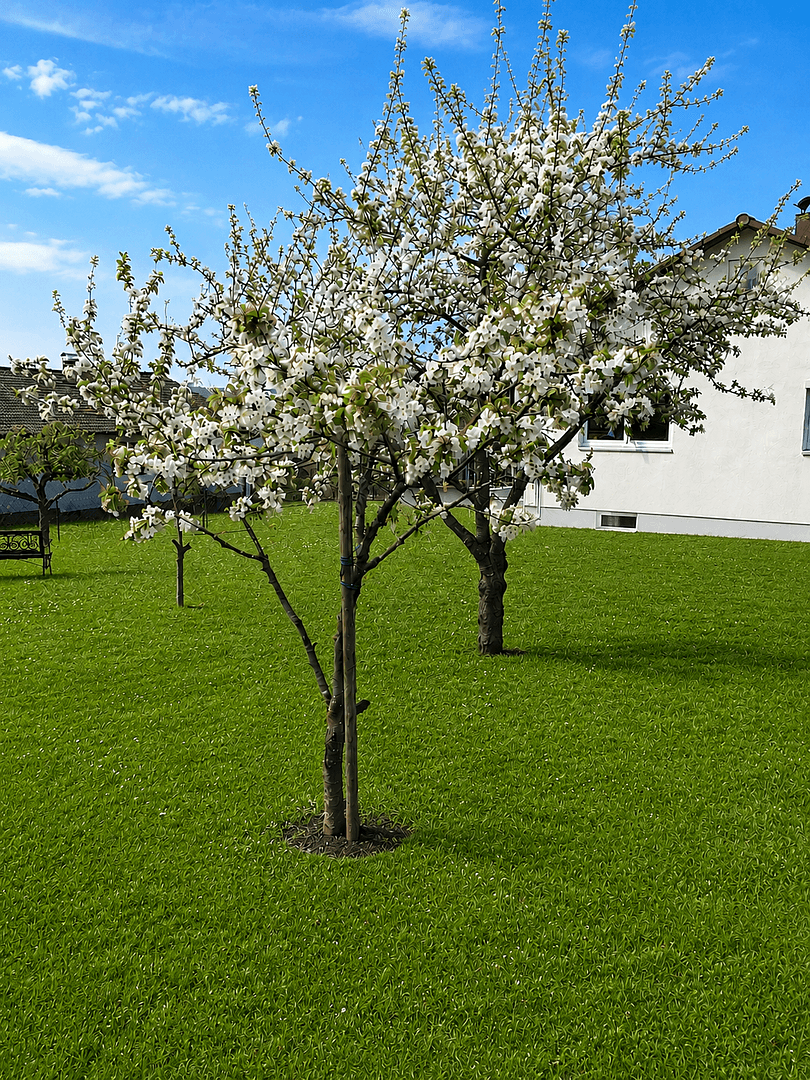 Prodej domu 145 m², pozemek 787 m², Pappenheim, Bavorsko Prodej domu 145 m², pozemek 787 m², Pappenheim, Bavorsko