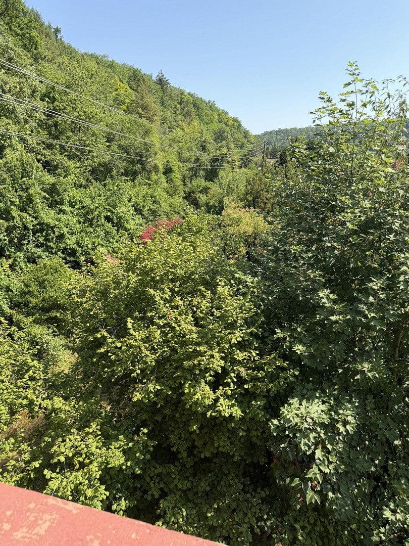 Prodej domu 185 m², pozemek 3.358 m², Adelsheim, Bádensko-Württembersko Prodej domu 185 m², pozemek 3.358 m², Adelsheim, Bádensko-Württembersko