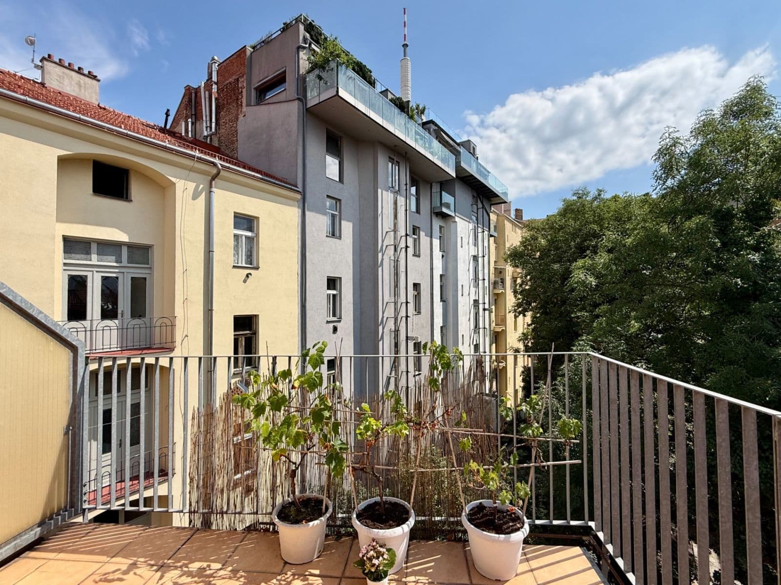 Pronájem bytu 2+kk 62 m², Bořivojova, Praha, Praha Pronájem bytu 2+kk 62 m², Bořivojova, Praha, Praha