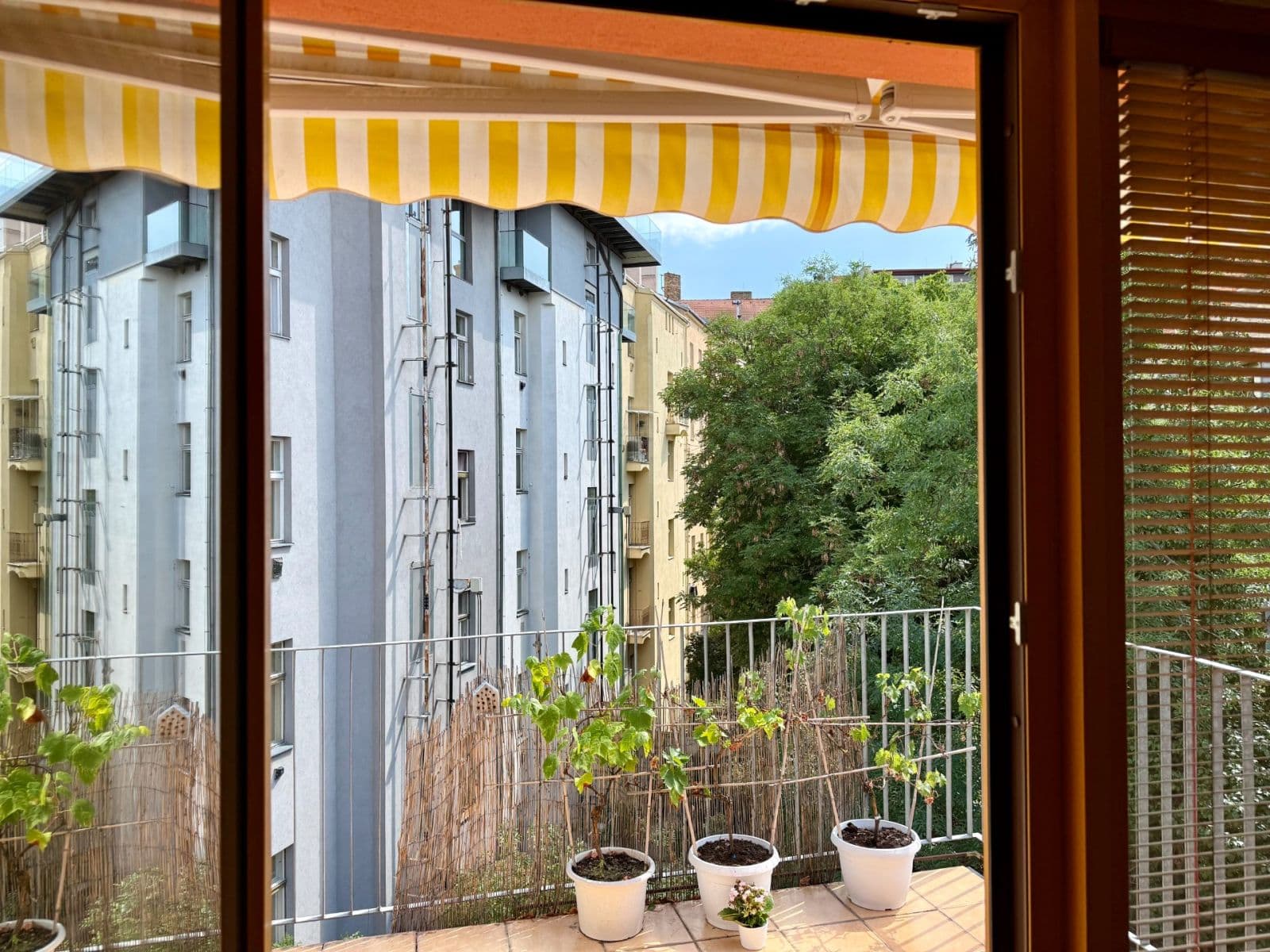 Pronájem bytu 2+kk 62 m², Bořivojova, Praha, Praha Pronájem bytu 2+kk 62 m², Bořivojova, Praha, Praha