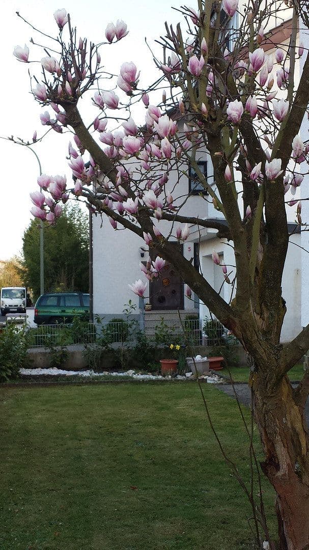 Pronájem bytu 4+1 115 m², Bischberg, Bavorsko Pronájem bytu 4+1 115 m², Bischberg, Bavorsko