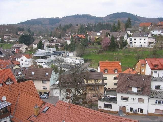 Pronájem bytu 3+1 80 m², Schriesheim, Bádensko-Württembersko Pronájem bytu 3+1 80 m², Schriesheim, Bádensko-Württembersko