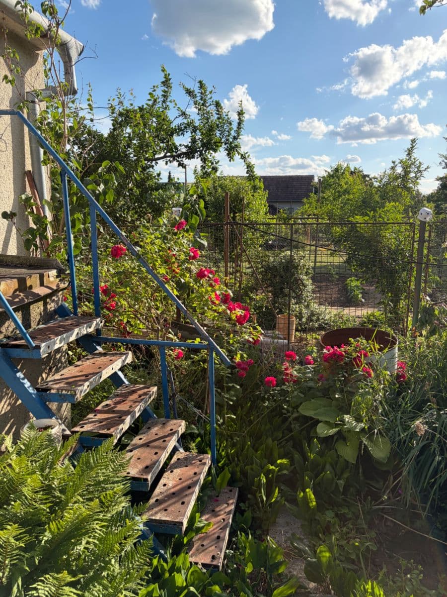 Pronájem nebytového prostoru 78 m², U Hřiště, Žabčice, Jihomoravský kraj Pronájem nebytového prostoru 78 m², U Hřiště, Žabčice, Jihomoravský kraj