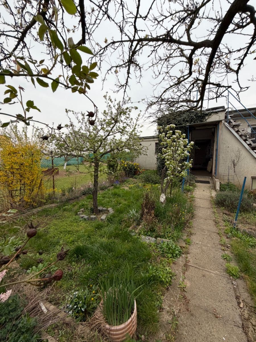 Pronájem nebytového prostoru 78 m², U Hřiště, Žabčice, Jihomoravský kraj Pronájem nebytového prostoru 78 m², U Hřiště, Žabčice, Jihomoravský kraj
