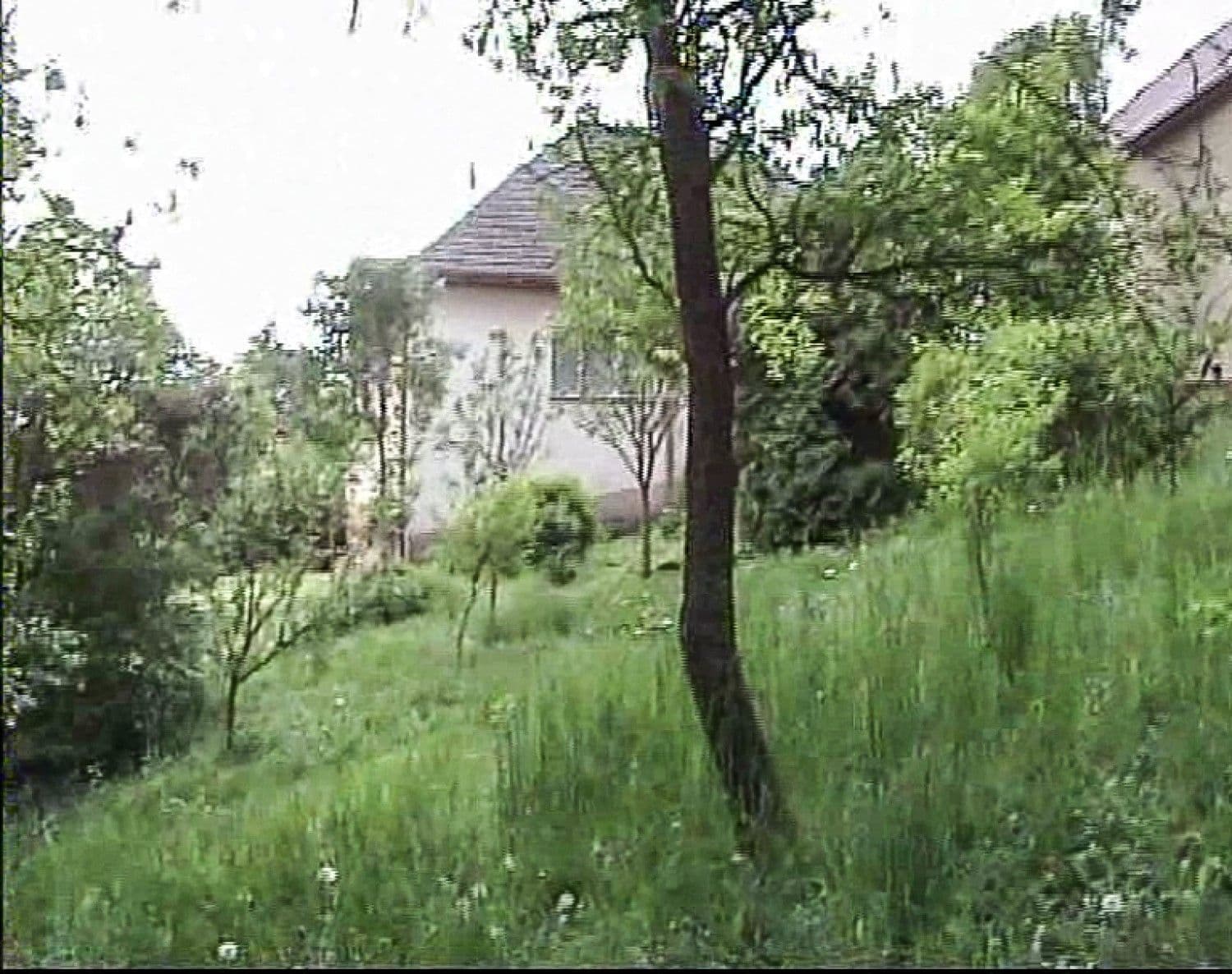 Prodej domu 80 m², pozemek 662 m², Hlubockého, Stará Turá, Trenčiansky kraj Prodej domu 80 m², pozemek 662 m², Hlubockého, Stará Turá, Trenčiansky kraj